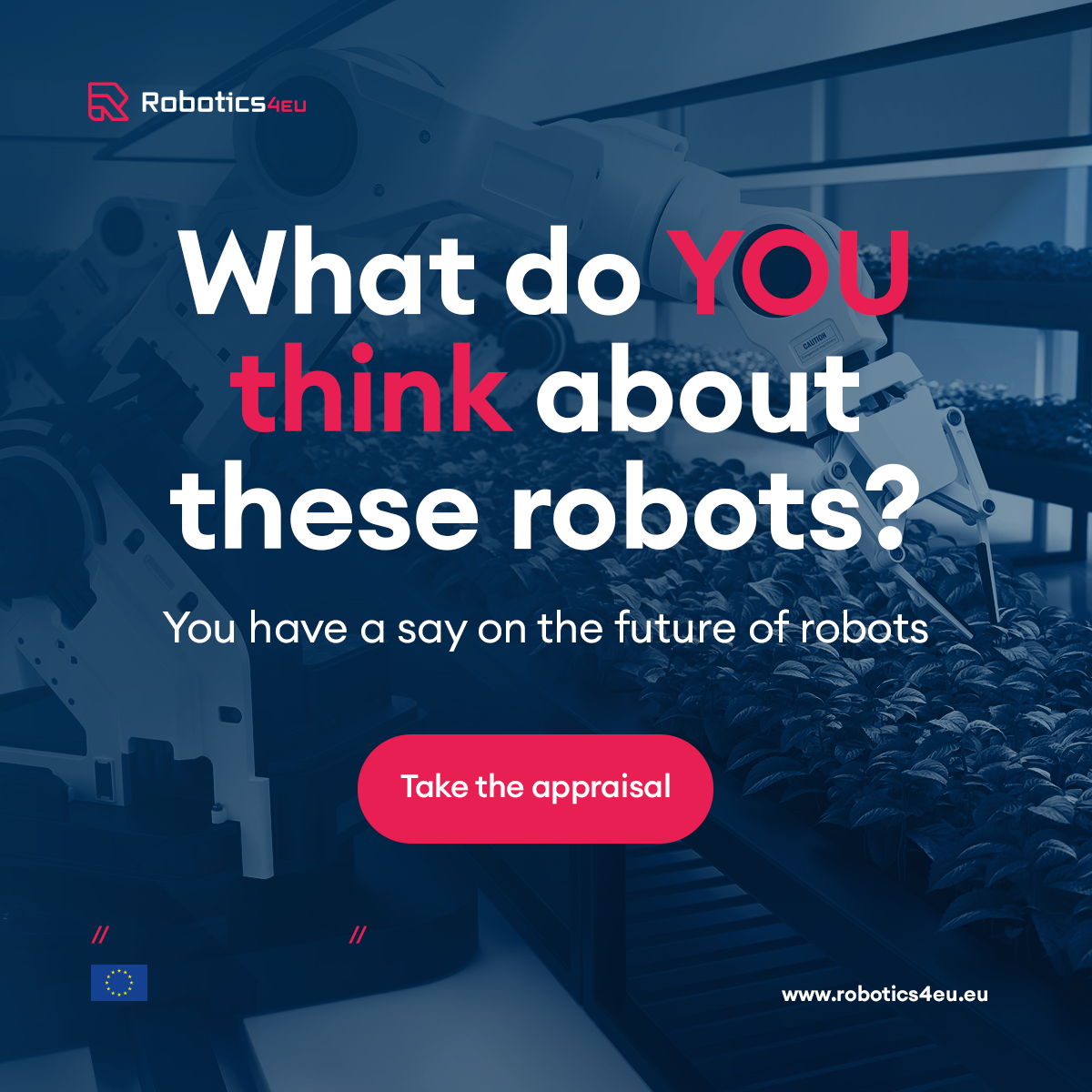 What do YOU think about these robots?